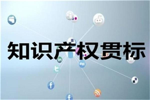 GB/T29490企業(yè)知識(shí)產(chǎn)權(quán)管理認(rèn)證